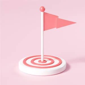 Objetivos de subvención Canarias